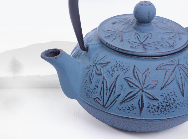 Flat bottom cast iron teapot with handle